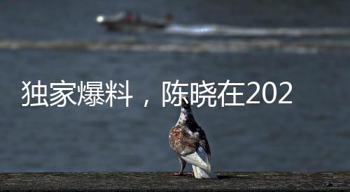 独家爆料，陈晓在2023年曾提出净身出户