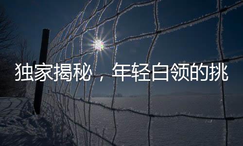 独家揭秘，年轻白领的挑战——租住公司卫生间的女生的故事