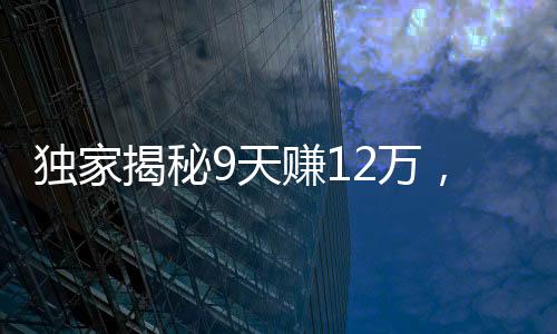 独家揭秘9天赚12万，小白跑步入场小游戏，一场轻松赚钱的盛宴正式开启！