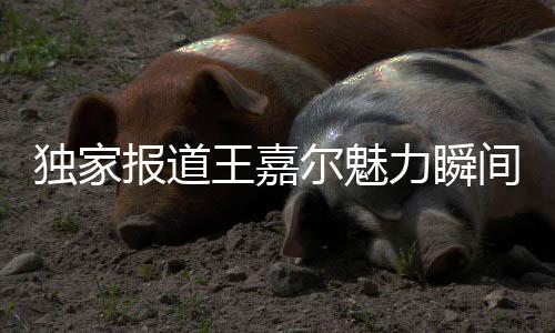 独家报道王嘉尔魅力瞬间，粉丝心中的摸头杀温馨时刻