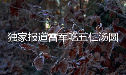 独家报道雷军吃五仁汤圆破防，深度解析背后故事与影响
