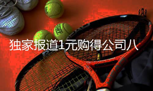 独家报道1元购得公司八成股权，神秘交易引领市场热议
