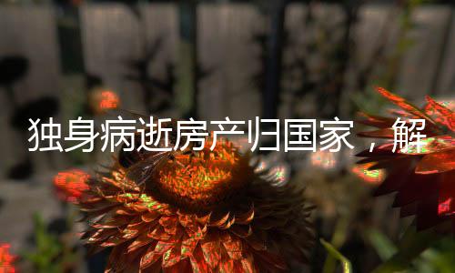 独身病逝房产归国家，解读相关法规与人性关怀