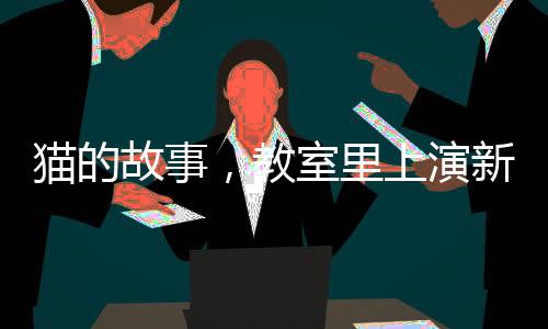 猫的故事，教室里上演新生命的诞生，学生的抽屉成为新生命的起点