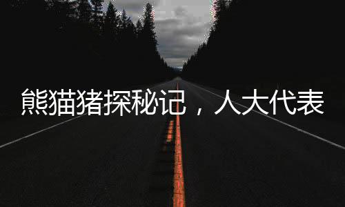 熊猫猪探秘记，人大代表倾力推荐的动物瑰宝备受瞩目