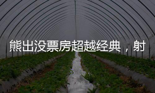 熊出没票房超越经典，射雕英雄传面临的挑战与思考