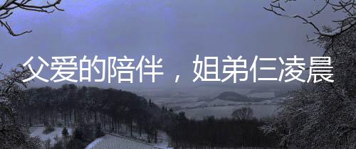 父爱的陪伴，姐弟仨凌晨返程，一夜守护见证深情