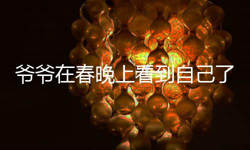 爷爷在春晚上看到自己了