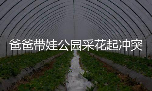 爸爸带娃公园采花起冲突，家庭教育与社会责任引深思