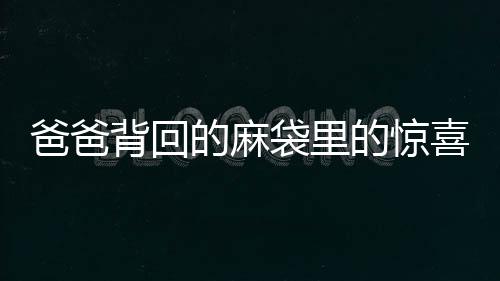 爸爸背回的麻袋里的惊喜，一份满满的爱给孩子们的礼物