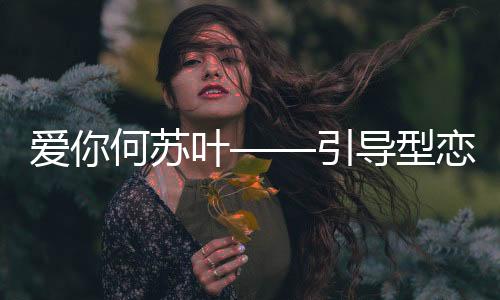 爱你何苏叶——引导型恋人的典范