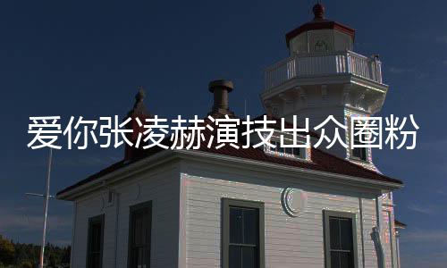 爱你张凌赫演技出众圈粉无数