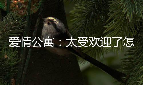 爱情公寓：太受欢迎了怎么办