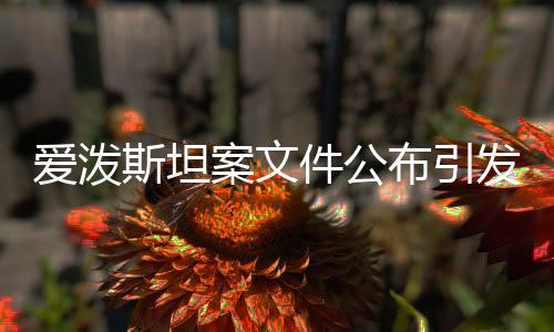 爱泼斯坦案文件公布引发社会广泛关注