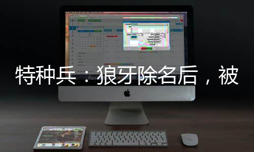 特种兵：狼牙除名后，被安然倒追