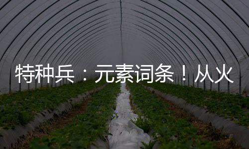特种兵：元素词条！从火凤凰开始