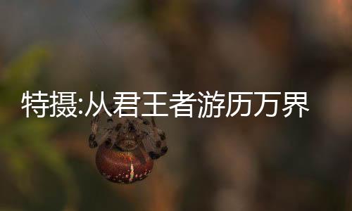 特摄:从君王者游历万界