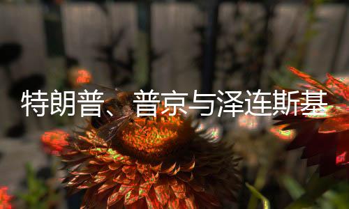 特朗普、普京与泽连斯基，会谈能否达成停战协议？