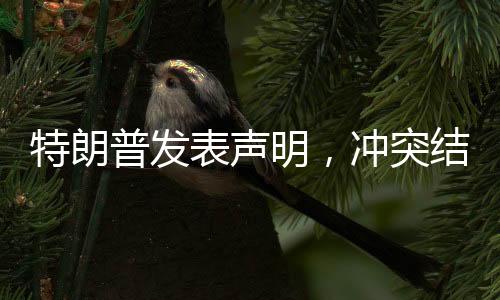 特朗普发表声明，冲突结束后加沙将转交给美国