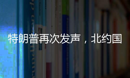 特朗普再次发声，北约国家若不承担费用，将失去安全保障——重塑全球安全格局的挑战与反思