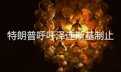 特朗普呼吁泽连斯基制止对普京的负面言论
