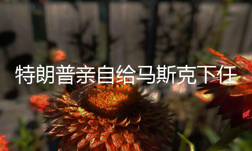 特朗普亲自给马斯克下任务，推动科技创新与能源转型的重大举措
