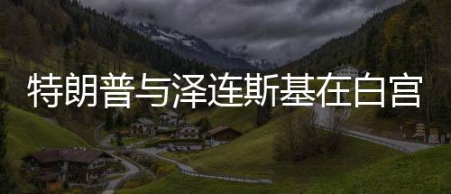 特朗普与泽连斯基在白宫上演激烈争吵