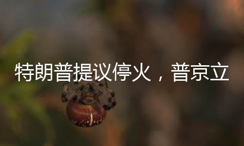 特朗普提议停火，普京立即行动，军事响应背后的深层考量