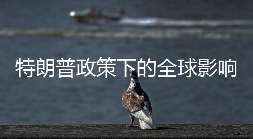 特朗普政策下的全球影响，针对所有输美钢铝征收25%关税