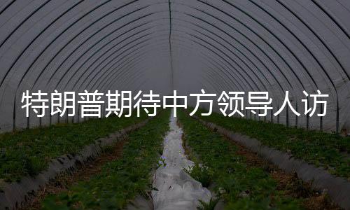 特朗普期待中方领导人访美，中方回应