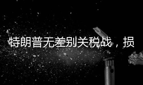特朗普无差别关税战，损失最大的究竟是谁？