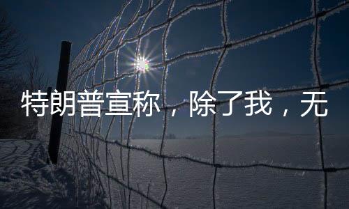 特朗普宣称，除了我，无人能阻止普京——国际政治角力与全球视角解析