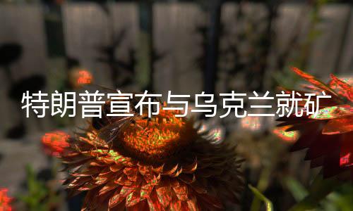 特朗普宣布与乌克兰就矿产问题达成重要协议，关键合作促成重大进展