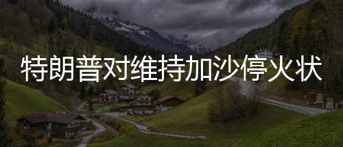 特朗普对维持加沙停火状态缺乏信心，国际观察与深度分析