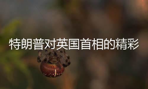 特朗普对英国首相的精彩发言引发全场大笑