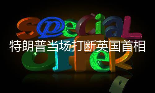 特朗普当场打断英国首相，够了——一场国际风云中的独特交锋