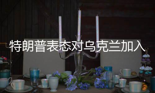 特朗普表态对乌克兰加入北约持保留态度，认为不切实际