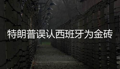 特朗普误认西班牙为金砖国家，国际视野下的误解与洞察