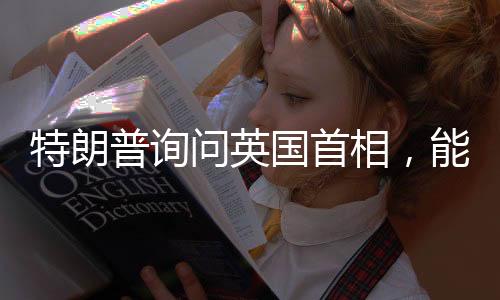 特朗普询问英国首相，能否独自应对俄罗斯的挑战？