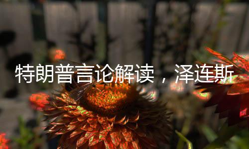 特朗普言论解读，泽连斯基高估了自己影响力与决策力分析