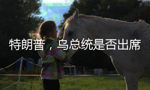 特朗普，乌总统是否出席和谈不重要