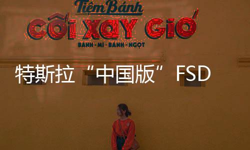 特斯拉“中国版”FSD测试翻车？大V陈震：出现7次违章，车主是第一责任人