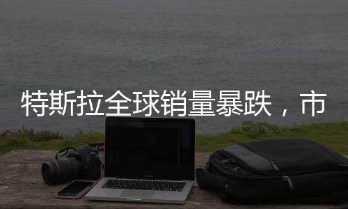 特斯拉全球销量暴跌，市场波动与企业策略调整