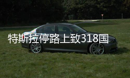 特斯拉停路上致318国道拥堵三小时事件引发关注