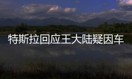 特斯拉回应王大陆疑因车门涉刑案