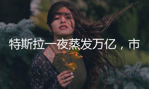 特斯拉一夜蒸发万亿，市值巨震揭示产业与投资者的微妙关系