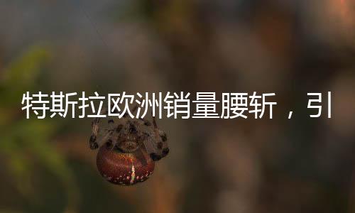 特斯拉欧洲销量腰斩，引发市场深度关注