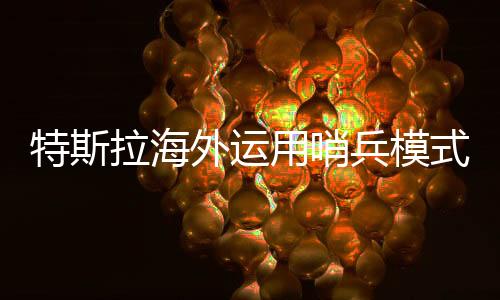 特斯拉海外运用哨兵模式应对暴力潮，策略解读与启示