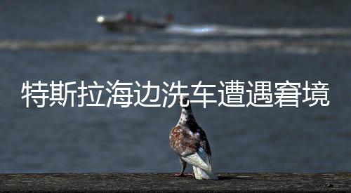 特斯拉海边洗车遭遇窘境，无法开回引热议