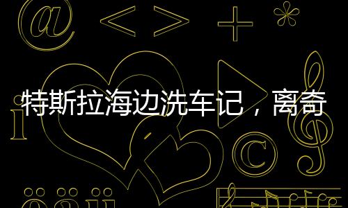 特斯拉海边洗车记，离奇事件揭示科技与现实的碰撞